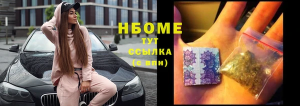 хмурый Алзамай