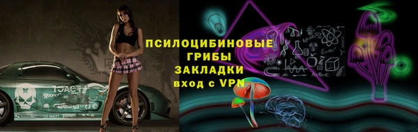 ГАЛЛЮЦИНОГЕННЫЕ ГРИБЫ Алексеевка