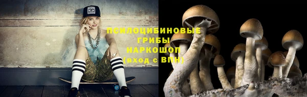 а пвп мука Абаза
