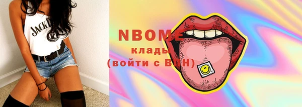 хмурый Алзамай