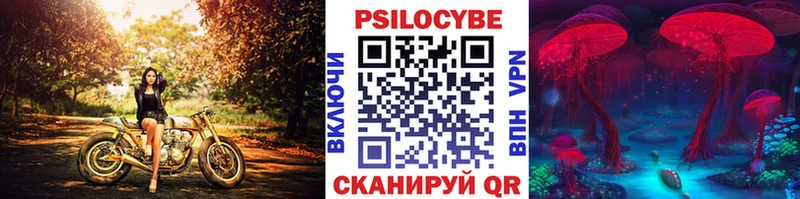 Псилоцибиновые грибы Psilocybe  купить закладку  Пойковский 